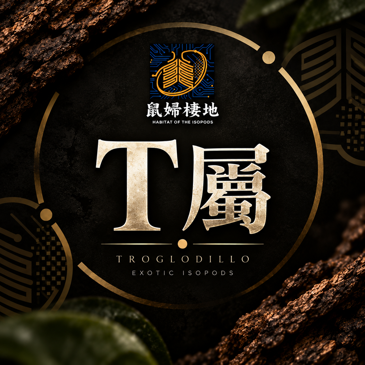 T屬 1區