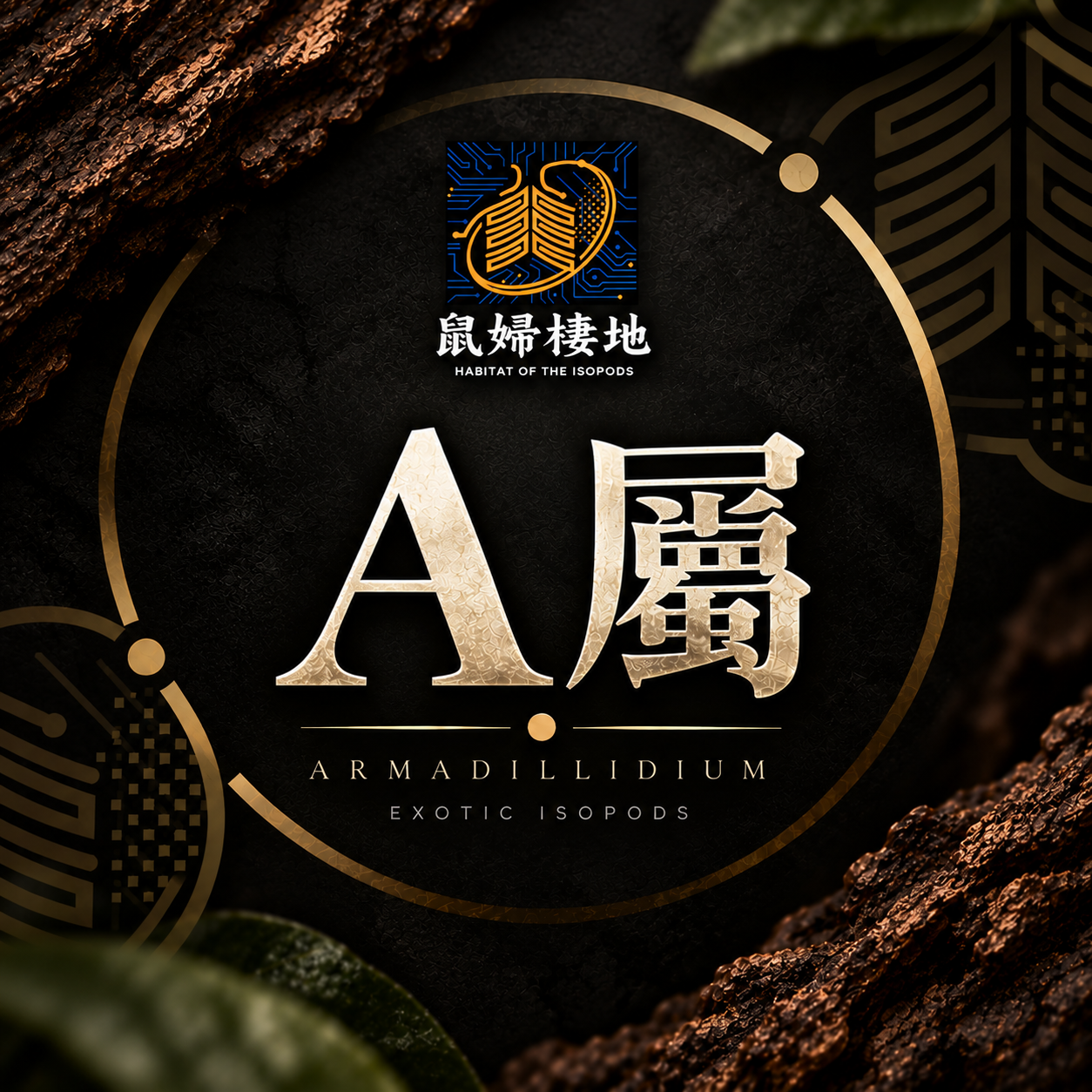 A屬 1區