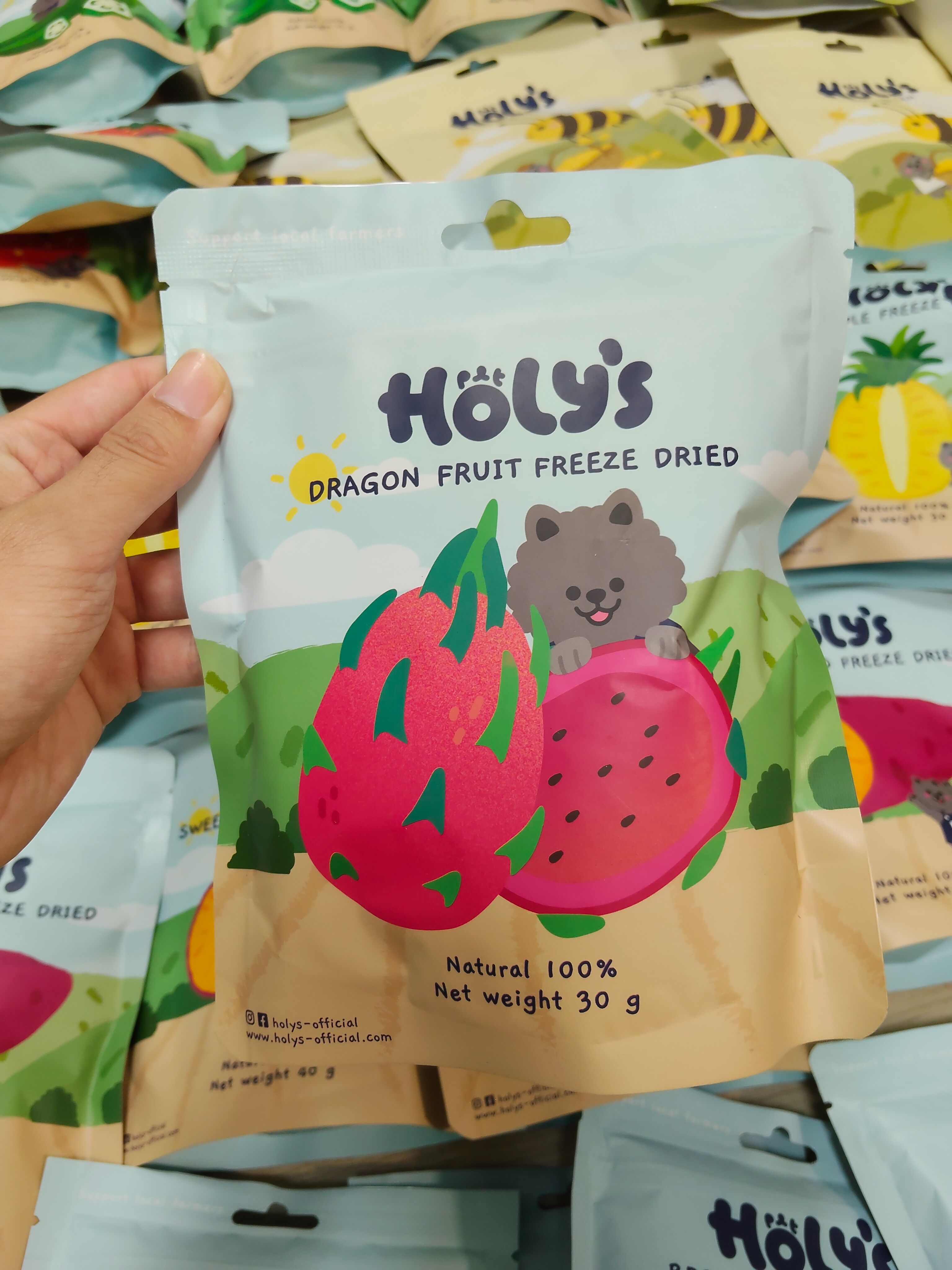 火龍果乾（預購）