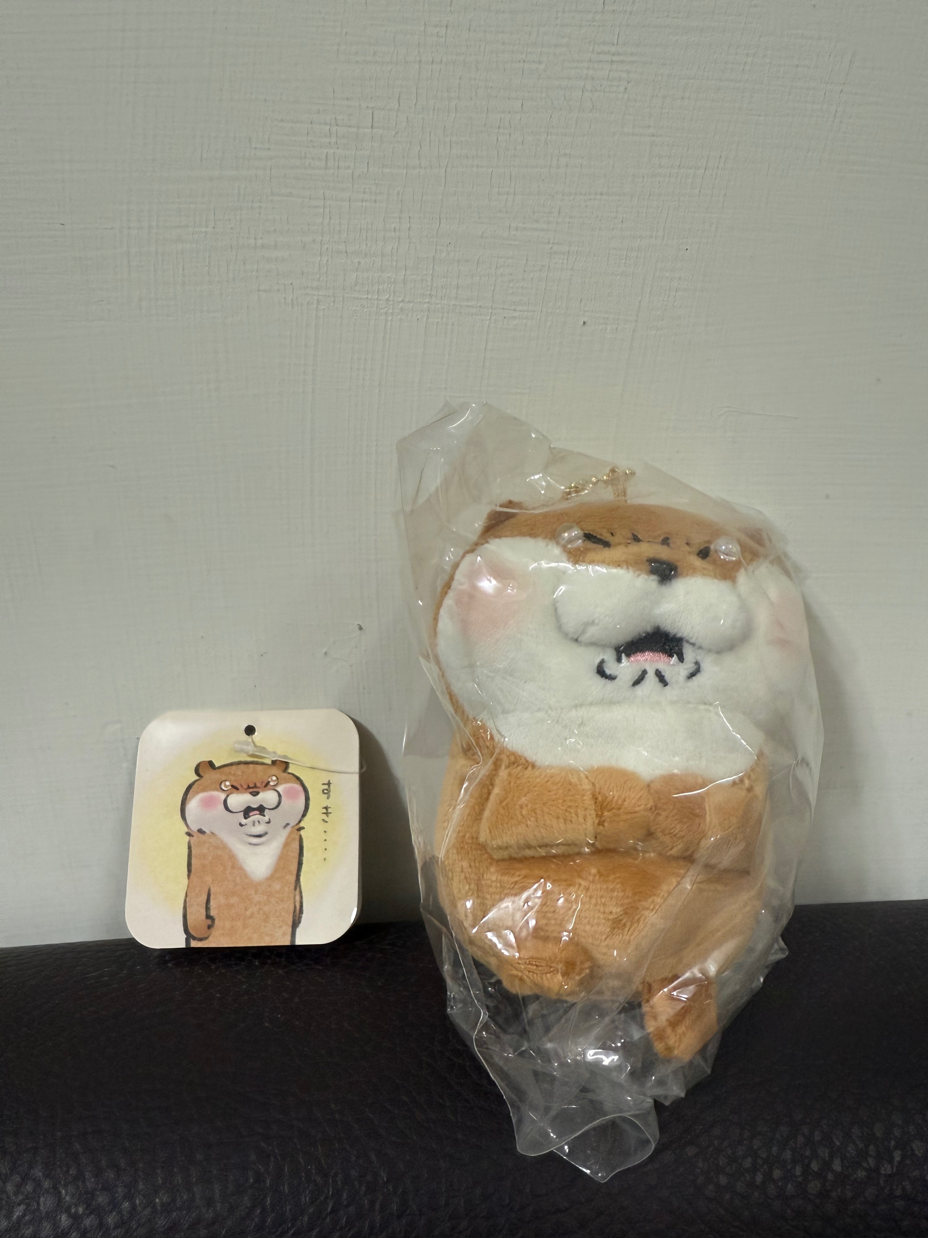 哭哭水獺