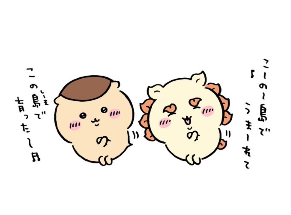 包手10元