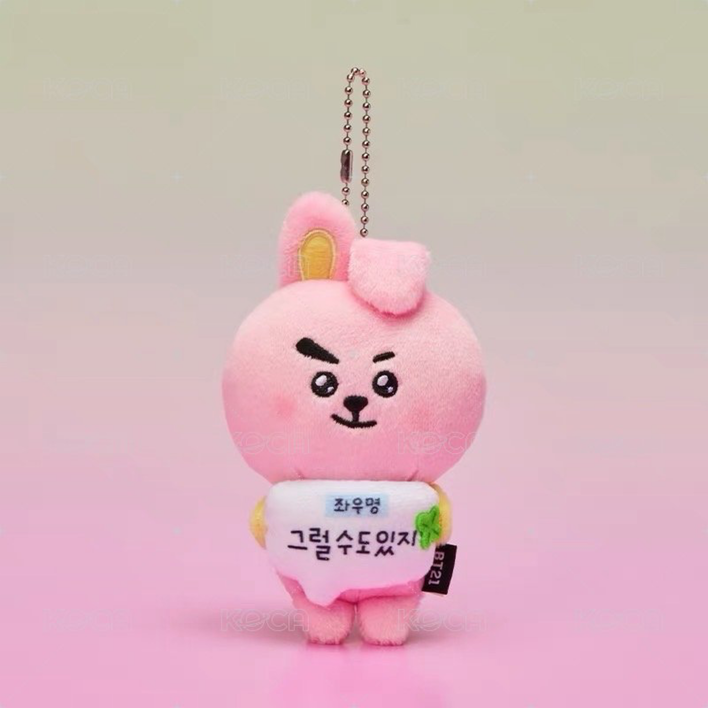 [現貨］韓國購入BT21今日心情系列-Cooky應援詞吊飾娃