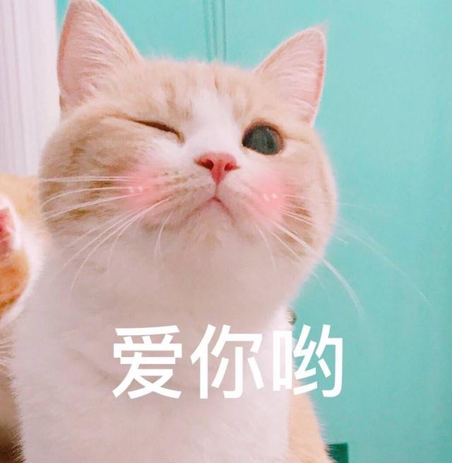 dcard交易版