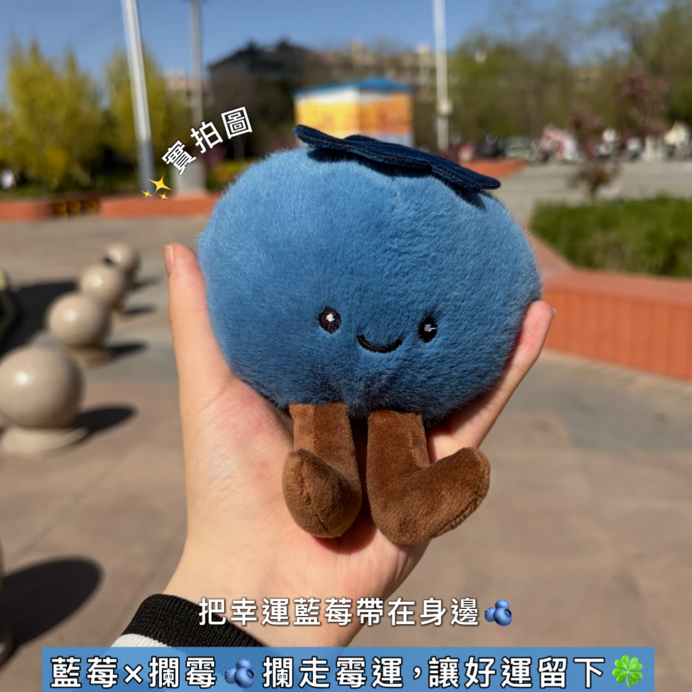 幸運藍莓毛絨吊飾