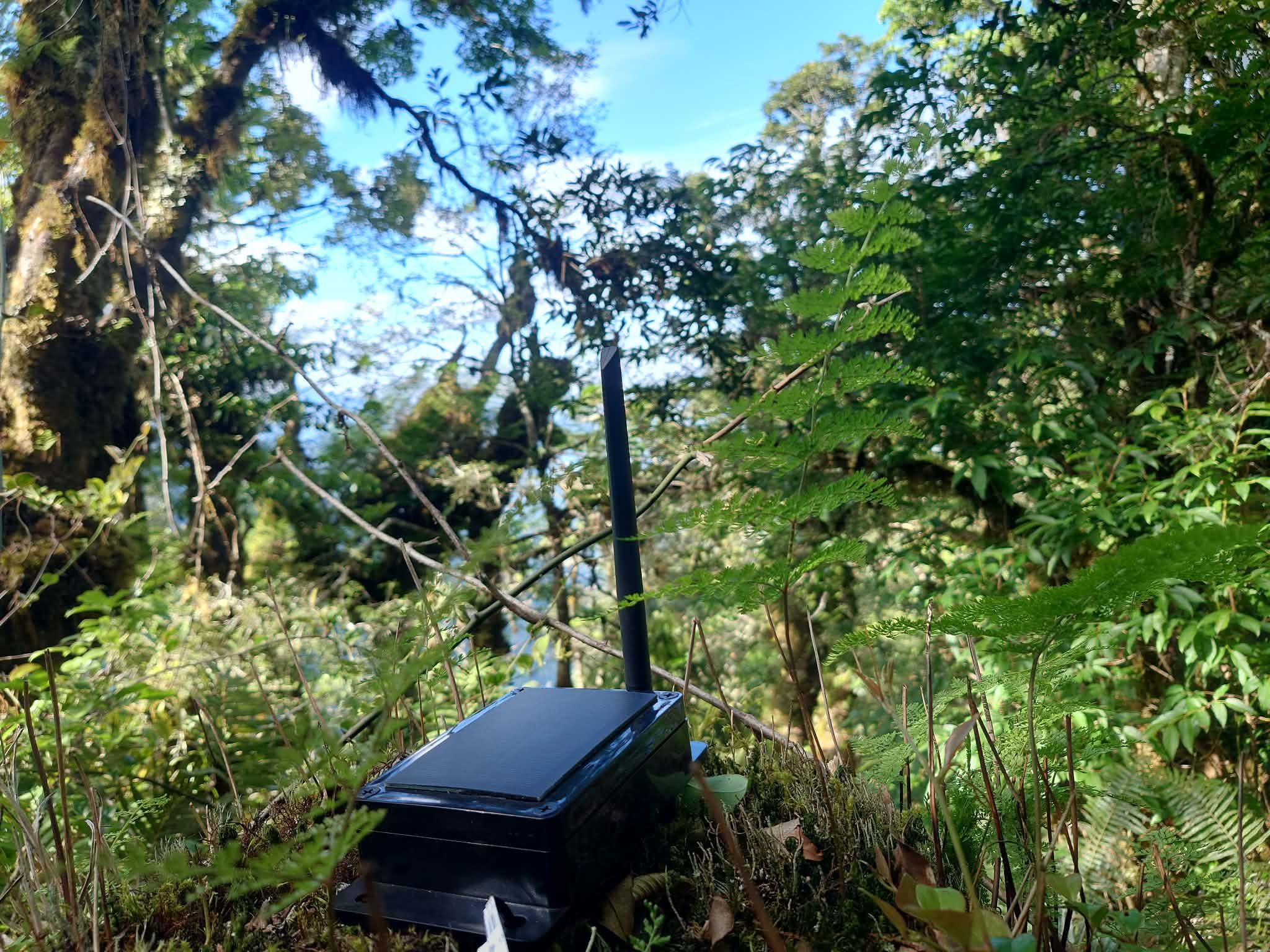 RW Solar Basic 2代 SE