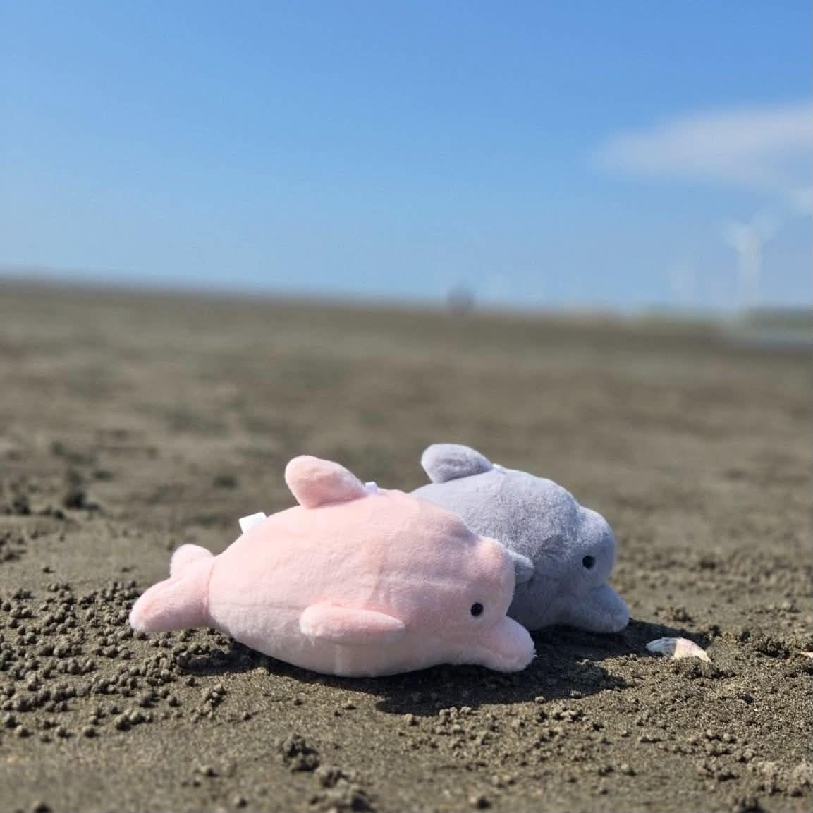 台灣白海豚吊飾玩偶
