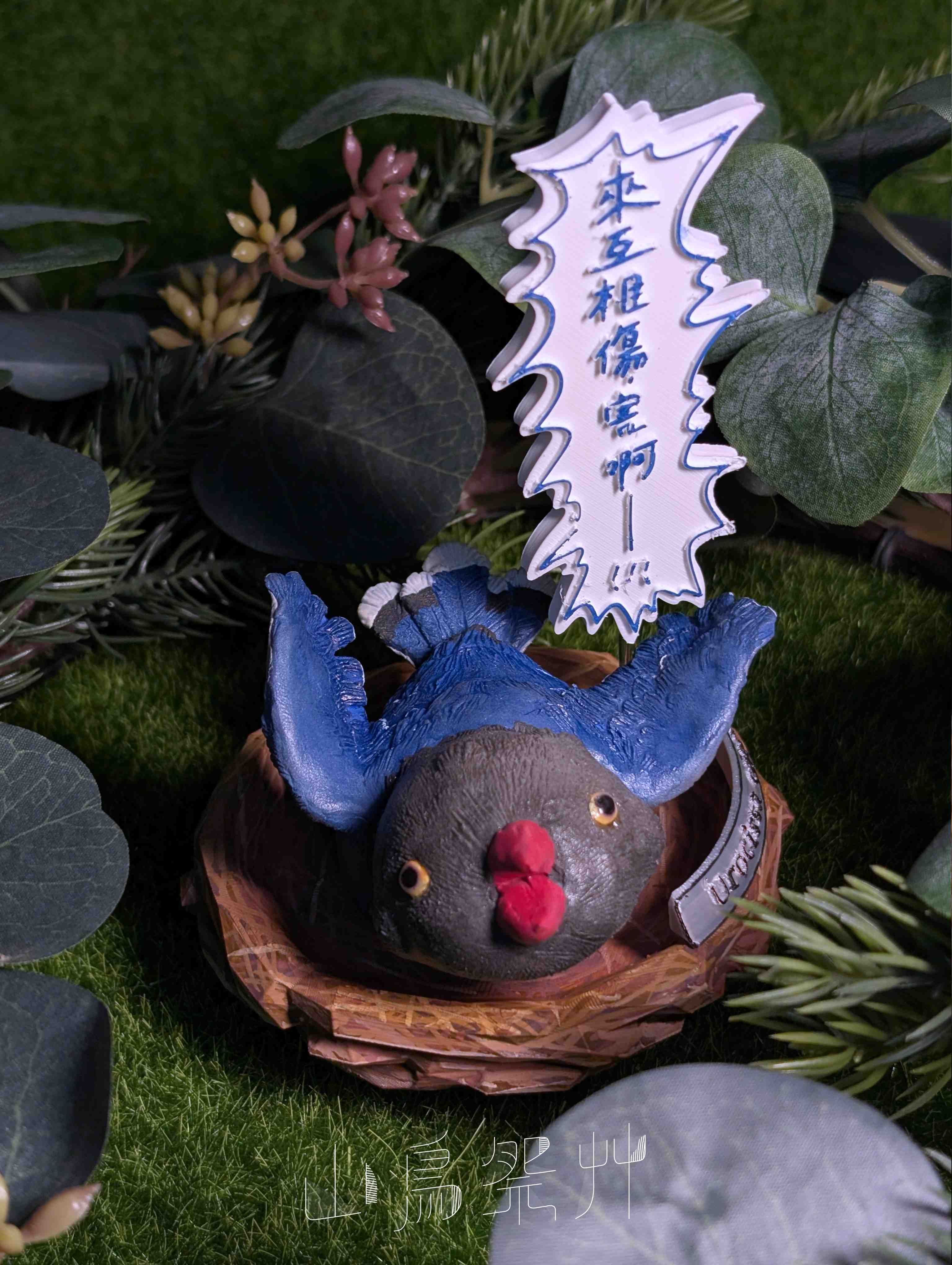 （僅展示）限定套組｜怒鳥藍鵲