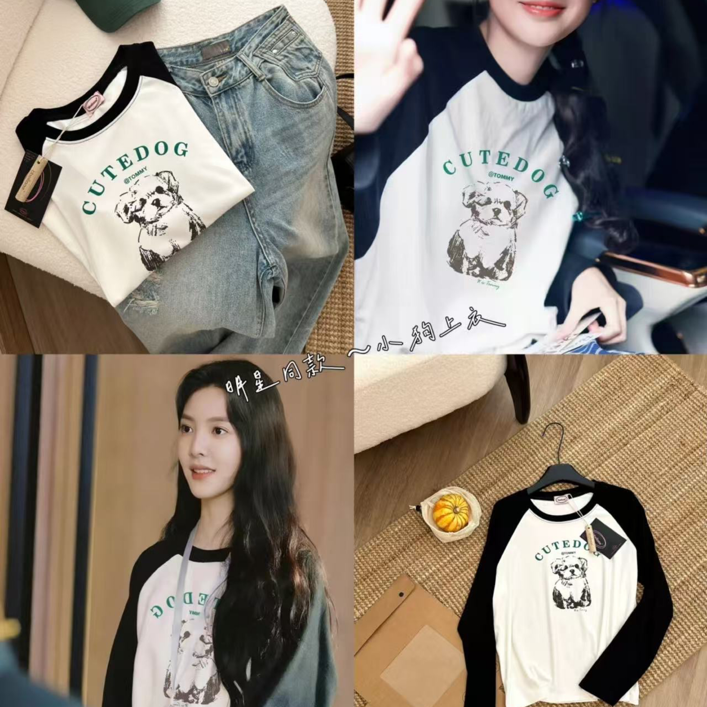 明星同款狗狗🐶衛衣