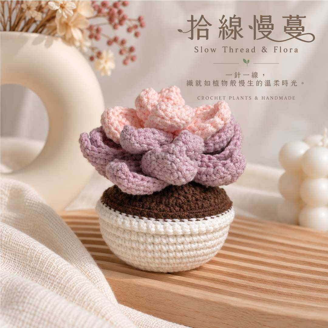 紫霧初綻｜Lavender Bloom 💜