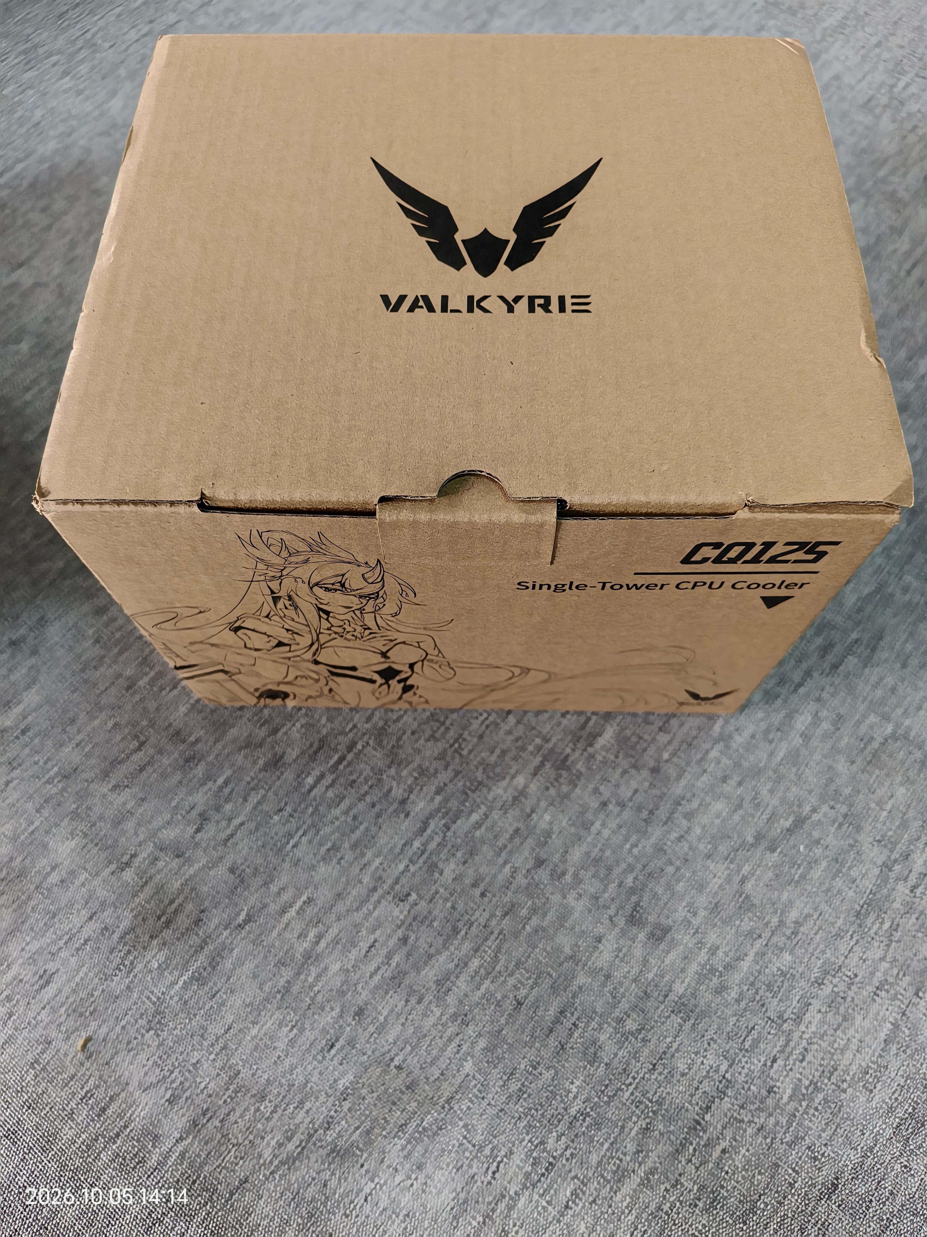14.瓦爾基里（VALKYRIE）CQ125 BLACK