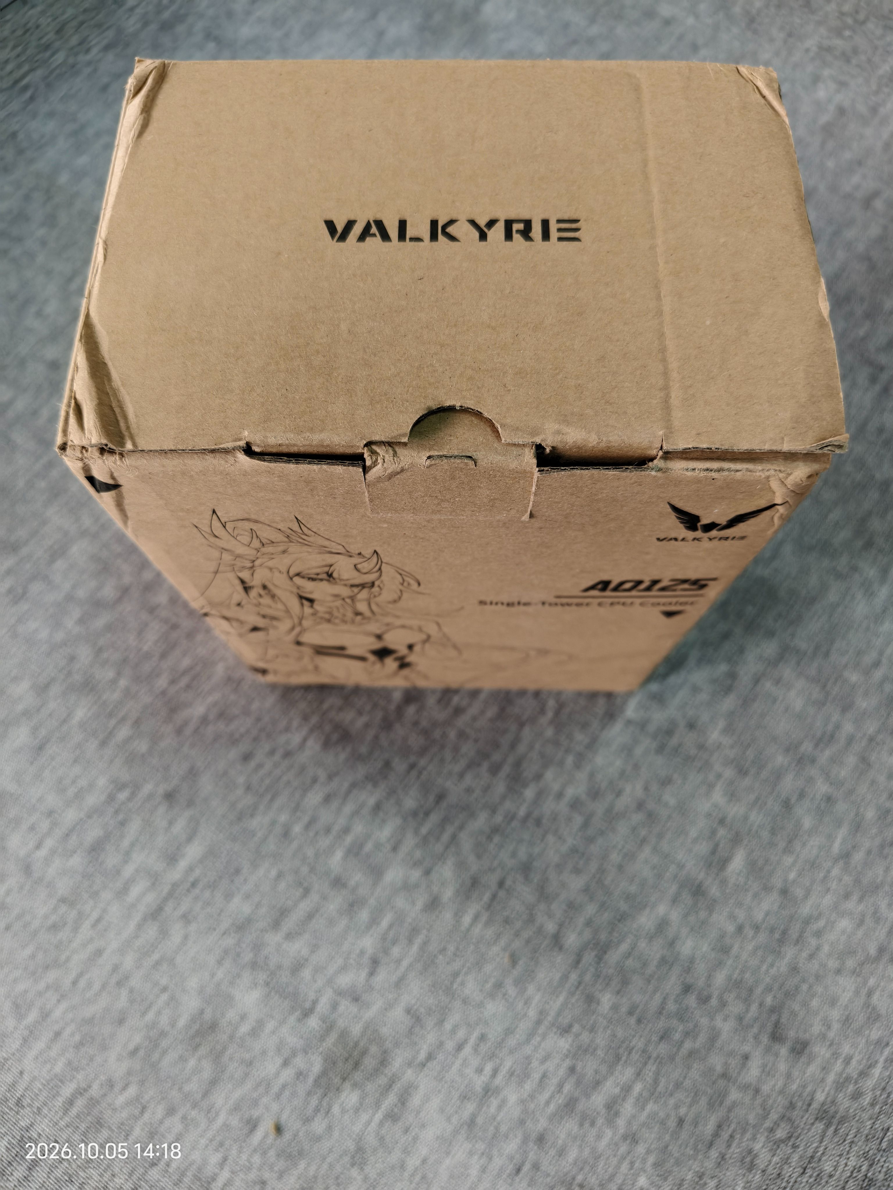 13.瓦爾基里（VALKYRIE）AQ125 BLACK