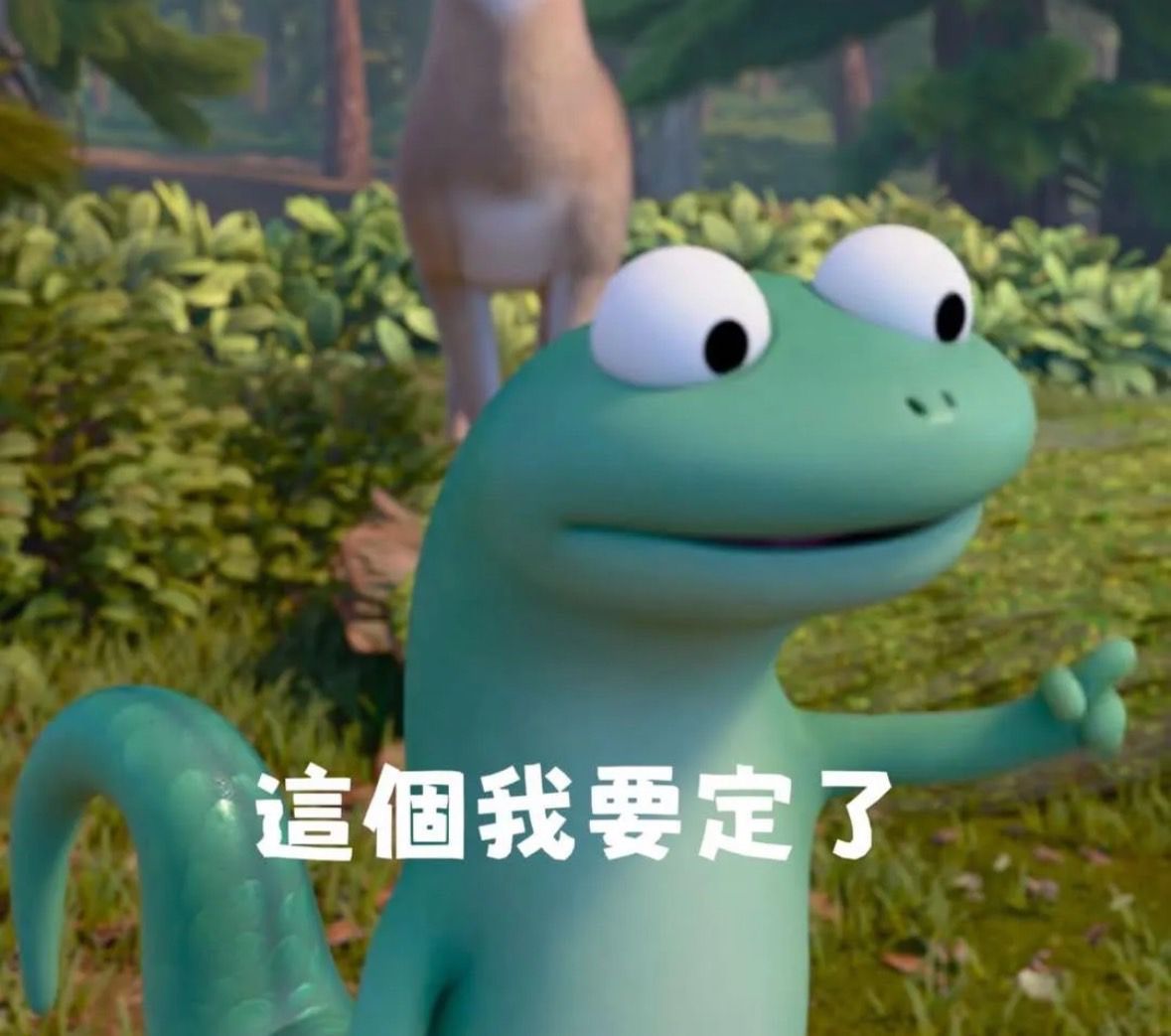 10公分區