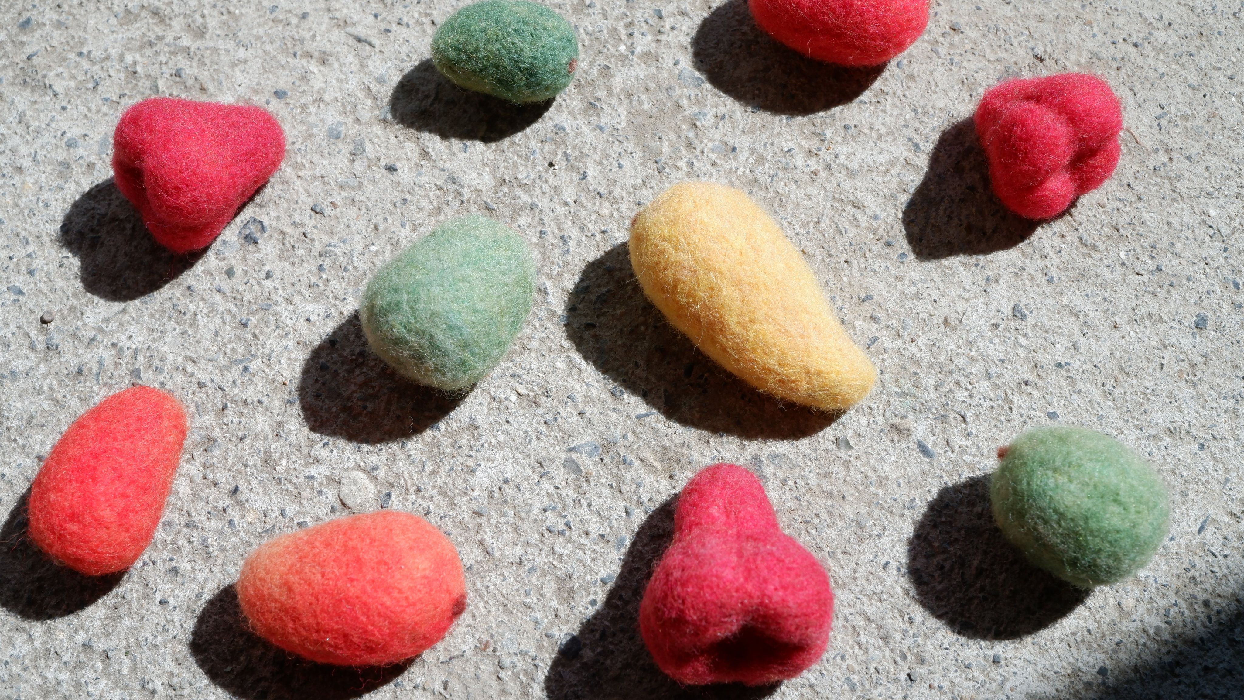 Fruits of Taiwan 台灣水果羊毛氈胸針